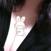 ヒメ日記 2026/03/19 20:51 投稿 こはる MOTHER(旧ママとおねえさん)