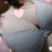 ヒメ日記 2026/03/30 16:41 投稿 こはる MOTHER(旧ママとおねえさん)