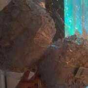 ヒメ日記 2025/04/16 12:26 投稿 りほ E+アイドルスクール