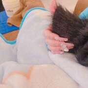 ヒメ日記 2025/04/16 20:26 投稿 りほ E+アイドルスクール