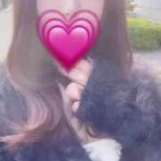 ヒメ日記 2025/04/16 21:29 投稿 りほ E+アイドルスクール