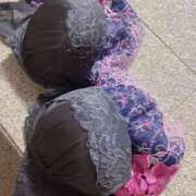 ヒメ日記 2025/04/27 15:26 投稿 りほ E+アイドルスクール