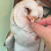 ヒメ日記 2025/12/20 12:33 投稿 りほ E+アイドルスクール