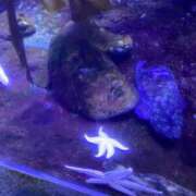 ヒメ日記 2026/01/25 12:26 投稿 りほ E+アイドルスクール