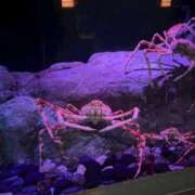 ヒメ日記 2026/01/29 22:31 投稿 りほ E+アイドルスクール