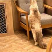 ヒメ日記 2025/07/07 17:25 投稿 えり バニラシュガー久喜店