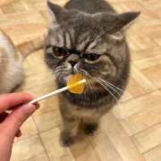 ヒメ日記 2025/07/10 23:35 投稿 えり バニラシュガー久喜店