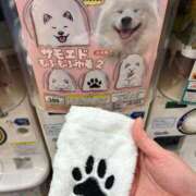 ヒメ日記 2025/11/21 21:05 投稿 えり バニラシュガー久喜店