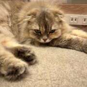 えり 大丈夫〜？ バニラシュガー久喜店