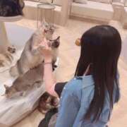 ヒメ日記 2026/05/20 19:25 投稿 えり バニラシュガー久喜店