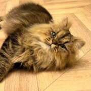 ヒメ日記 2025/10/30 00:05 投稿 えり バニラシュガー古河店