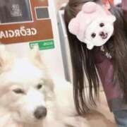 ヒメ日記 2026/03/23 21:05 投稿 えり バニラシュガー古河店