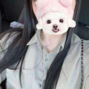 ヒメ日記 2026/04/12 15:55 投稿 えり バニラシュガー古河店