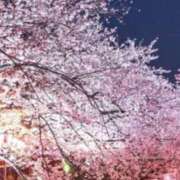 ヒメ日記 2025/03/23 19:52 投稿 下川にこ(しもかわにこ) 五十路マダムエクスプレス厚木店(カサブランカグループ)