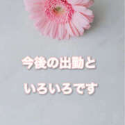 ヒメ日記 2025/03/26 12:02 投稿 下川にこ(しもかわにこ) 五十路マダムエクスプレス厚木店(カサブランカグループ)