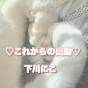 ヒメ日記 2025/03/30 09:30 投稿 下川にこ(しもかわにこ) 五十路マダムエクスプレス厚木店(カサブランカグループ)