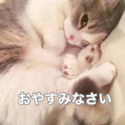 ヒメ日記 2025/04/01 04:18 投稿 下川にこ(しもかわにこ) 五十路マダムエクスプレス厚木店(カサブランカグループ)