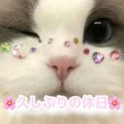 ヒメ日記 2025/04/06 08:08 投稿 下川にこ(しもかわにこ) 五十路マダムエクスプレス厚木店(カサブランカグループ)