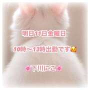 ヒメ日記 2025/04/10 13:10 投稿 下川にこ(しもかわにこ) 五十路マダムエクスプレス厚木店(カサブランカグループ)