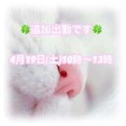 ヒメ日記 2025/04/12 15:42 投稿 下川にこ(しもかわにこ) 五十路マダムエクスプレス厚木店(カサブランカグループ)