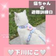 ヒメ日記 2025/04/13 08:24 投稿 下川にこ(しもかわにこ) 五十路マダムエクスプレス厚木店(カサブランカグループ)