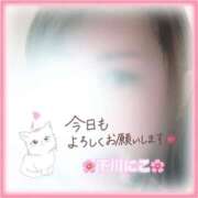 ヒメ日記 2025/04/16 06:58 投稿 下川にこ(しもかわにこ) 五十路マダムエクスプレス厚木店(カサブランカグループ)