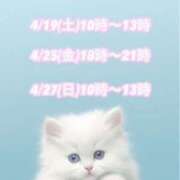 ヒメ日記 2025/04/17 07:18 投稿 下川にこ(しもかわにこ) 五十路マダムエクスプレス厚木店(カサブランカグループ)