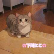 ヒメ日記 2025/04/23 08:50 投稿 下川にこ(しもかわにこ) 五十路マダムエクスプレス厚木店(カサブランカグループ)