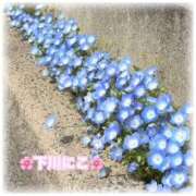 ヒメ日記 2025/04/25 08:18 投稿 下川にこ(しもかわにこ) 五十路マダムエクスプレス厚木店(カサブランカグループ)