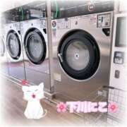 ヒメ日記 2025/04/28 07:52 投稿 下川にこ(しもかわにこ) 五十路マダムエクスプレス厚木店(カサブランカグループ)