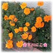 ヒメ日記 2025/04/29 07:42 投稿 下川にこ(しもかわにこ) 五十路マダムエクスプレス厚木店(カサブランカグループ)