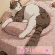 ヒメ日記 2025/05/01 08:00 投稿 下川にこ(しもかわにこ) 五十路マダムエクスプレス厚木店(カサブランカグループ)