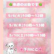 ヒメ日記 2025/05/04 08:18 投稿 下川にこ(しもかわにこ) 五十路マダムエクスプレス厚木店(カサブランカグループ)