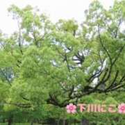 ヒメ日記 2025/05/12 06:50 投稿 下川にこ(しもかわにこ) 五十路マダムエクスプレス厚木店(カサブランカグループ)