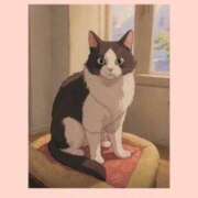 ヒメ日記 2025/05/13 09:16 投稿 下川にこ(しもかわにこ) 五十路マダムエクスプレス厚木店(カサブランカグループ)