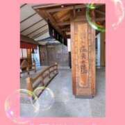 ヒメ日記 2025/05/16 07:10 投稿 下川にこ(しもかわにこ) 五十路マダムエクスプレス厚木店(カサブランカグループ)