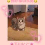 ヒメ日記 2025/05/20 09:14 投稿 下川にこ(しもかわにこ) 五十路マダムエクスプレス厚木店(カサブランカグループ)