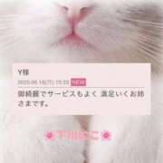 ヒメ日記 2025/06/17 07:46 投稿 下川にこ(しもかわにこ) 五十路マダムエクスプレス厚木店(カサブランカグループ)