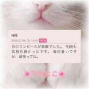 ヒメ日記 2025/07/07 16:18 投稿 下川にこ(しもかわにこ) 五十路マダムエクスプレス厚木店(カサブランカグループ)