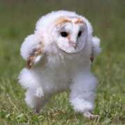 ヒメ日記 2025/05/07 17:19 投稿 しほ ミルキーラテ