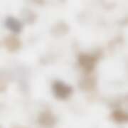 ヒメ日記 2026/03/24 14:22 投稿 しほ ミルキーラテ