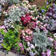 ヒメ日記 2025/04/05 18:48 投稿 りょう 奥鉄オクテツ神奈川店（デリヘル市場グループ）