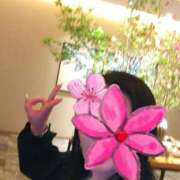 ヒメ日記 2025/05/05 16:24 投稿 りょう 奥鉄オクテツ神奈川店（デリヘル市場グループ）