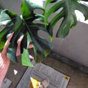 ヒメ日記 2025/05/07 08:19 投稿 りょう 奥鉄オクテツ神奈川店（デリヘル市場グループ）