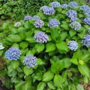 ヒメ日記 2025/06/09 12:47 投稿 りょう 奥鉄オクテツ神奈川店（デリヘル市場グループ）