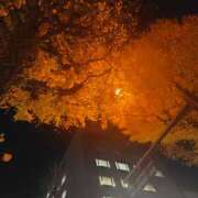 ヒメ日記 2025/12/11 17:39 投稿 りょう 奥鉄オクテツ神奈川店（デリヘル市場グループ）