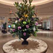 ヒメ日記 2026/01/19 13:20 投稿 りょう 奥鉄オクテツ神奈川店（デリヘル市場グループ）