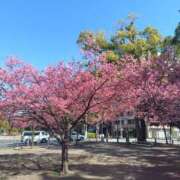 ヒメ日記 2026/03/09 07:57 投稿 りょう 奥鉄オクテツ神奈川店（デリヘル市場グループ）