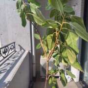 ヒメ日記 2026/04/11 08:49 投稿 りょう 奥鉄オクテツ神奈川店（デリヘル市場グループ）