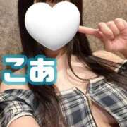 ヒメ日記 2025/04/01 08:19 投稿 こあ ハピネス札幌